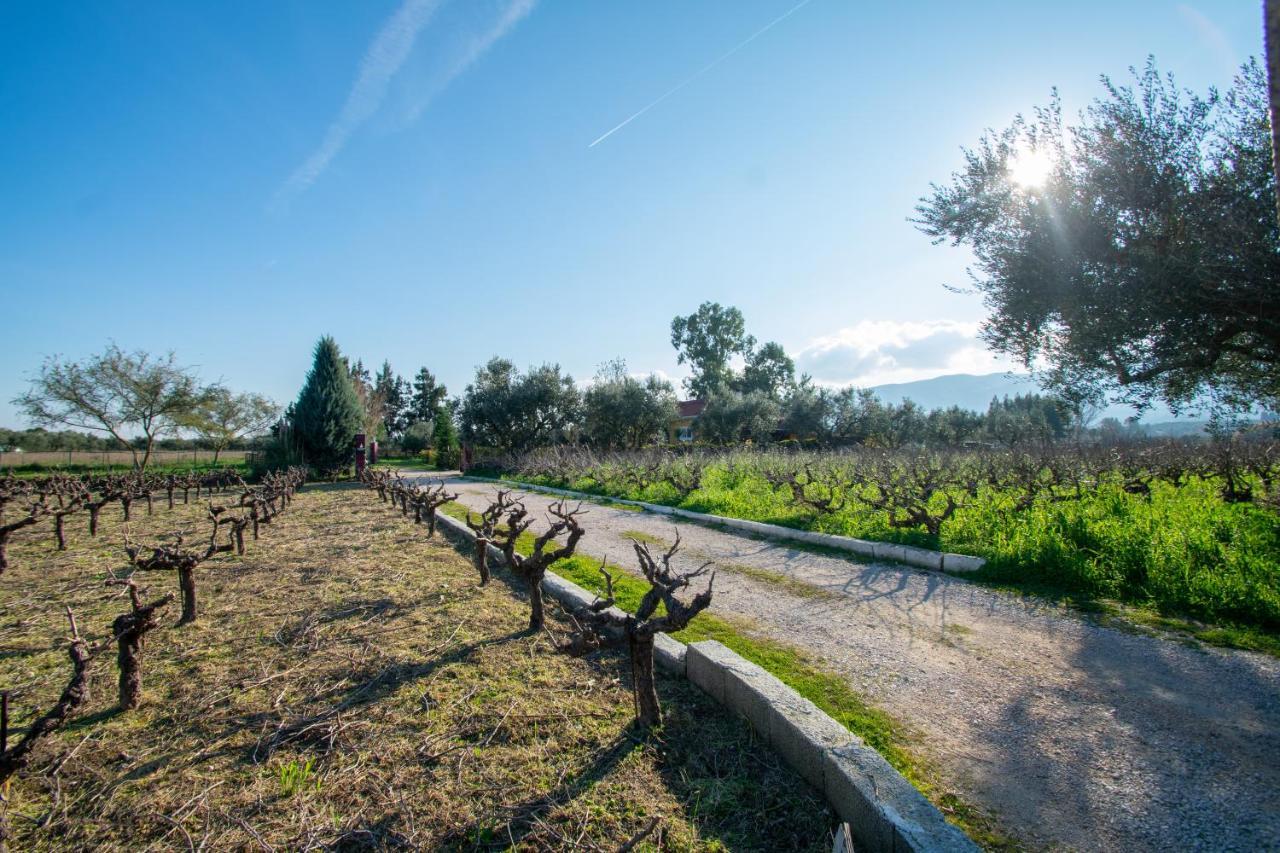 Loukas Farm House Áyios Kírikos Dış mekan fotoğraf
