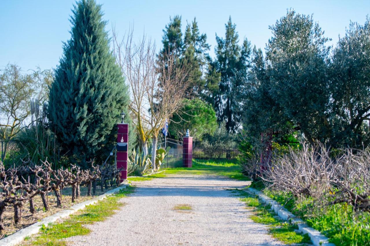 Loukas Farm House Áyios Kírikos Dış mekan fotoğraf