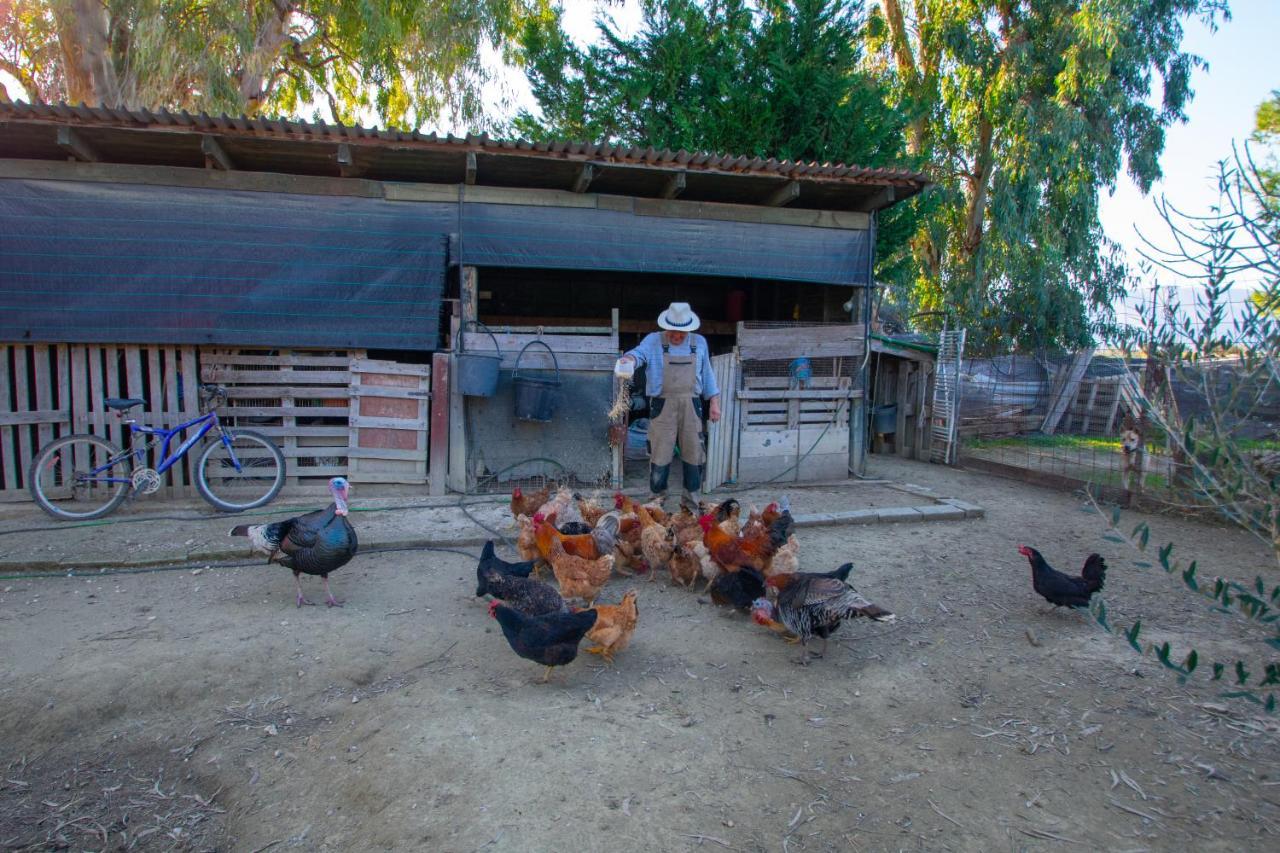 Loukas Farm House Áyios Kírikos Dış mekan fotoğraf